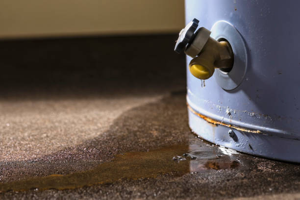 Best Professional water damage repair  in Caledonia, WI
