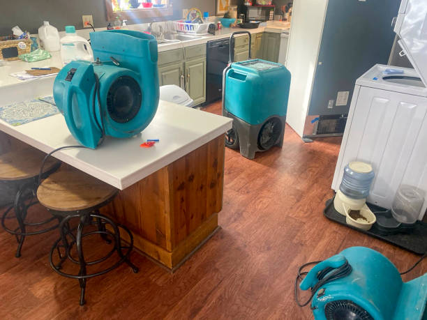 Best Water damage restoration near me  in Caledonia, WI
