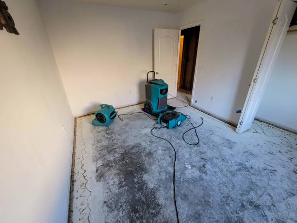 Best Local water damage restoration  in Caledonia, WI